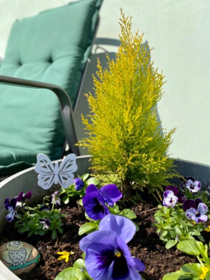 Pribraz Apartmany U Rybnicka מראה חיצוני תמונה